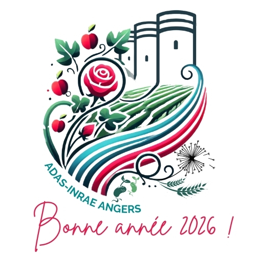 Adas bonne ann&eacute;e